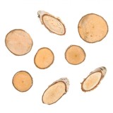 Set 8 Bucăți Buturugi Lemn Naturale pentru Artizanat DIY - Decor Rustic, Accesorii Lemn, Diametru 5.5-6.5cm, Modele Multiple