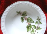 BOL CASTRON PORTELAN ASTA ALPINA BAVARIA DECOR BOTANICA LAMIUM ALBUM URZICA 22 CM
