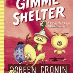 Gimme Shelter: Misadventures and Misinformation