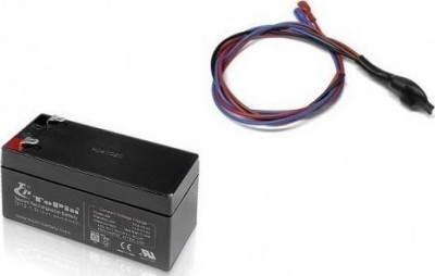 ZDR-GM50 Baterie backup pentru alarmele Pandora CarStore Technology foto
