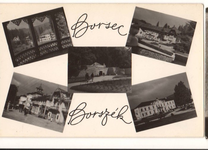CPIB 22136 - CARTE POSTALA - BORSEC, NECIRCULATA, MOZAIC, RPR