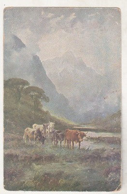 bnk cp Felicitare - 1925 - circulata foto