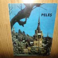 Album Muzeul Peles - Sinaia 1974