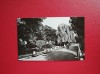 CARTE POSTALA - RPR - RADAUTI - VEDERE DIN PARC, Necirculata, Fotografie