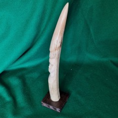 COLT DIN FILDES DE ELEFANT SCULPTAT IN MANIERA AFRICANA UN BUST DE FEMEIE foto