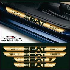 Set Protectie Praguri Ford-Model 1 – Stickere Auto