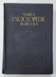 MAREA ENCICLOPEDIE AGRICOLA , VOLUMUL III - LITERELE H - Me - HABITANT - MEZOTORACE ,director C . FILIPESCU , 1940 ,