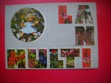 HOPCT 25087 FELICITARE ANIVERSARA -LA MULTI ANI -PAPUSA -CP VECHE -IP--INTREG POSTAL - ROMANIA - CIRCULATA