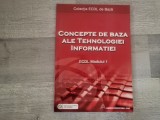 Concepte de baza ale tehnologiei informatiei ECDL Modulul 1 de Ana Dulu