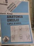 Anatomia omului. Capul si gatul Nr. 5 - Viorel Ranga