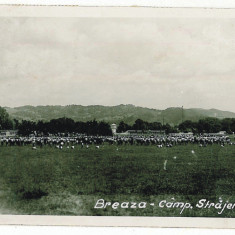 1203 - BREAZA, Prahova, STRAJERI Camp. - old postcard, real Photo - used - 1938