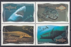 Canada - Fauna Marina - PESTI - MNH foto