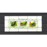 SRI LANKA 2018 FAUNA FLUTURI PASARI VEVERITE