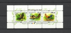 SRI LANKA 2018 FAUNA FLUTURI PASARI VEVERITE foto