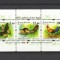 SRI LANKA 2018 FAUNA FLUTURI PASARI VEVERITE