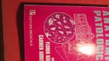 Anatomie patologica ,f halalau,vol 1 /0 256