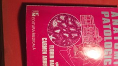 Anatomie patologica ,f halalau,vol 1 /0 256