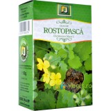 Ceai Rostopasca Iarba 50gr