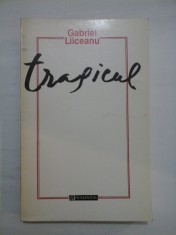 Tragicul - Gabriel Liiceanu foto