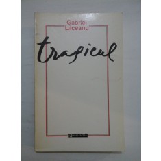 Tragicul - Gabriel Liiceanu