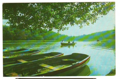 CPIB 18431 CARTE POSTALA - SIBIU. LACUL DIN DUMBRAVA foto