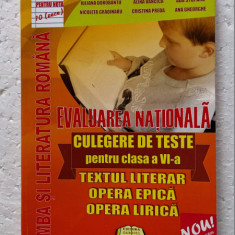 LIMBA SI LITERATURA ROMANA CULEGERE DE TESTE CLASA A VI A VANCICA