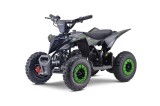 Atv electric copii Mini Warrior 6&amp;quot; 1000w 36v verde