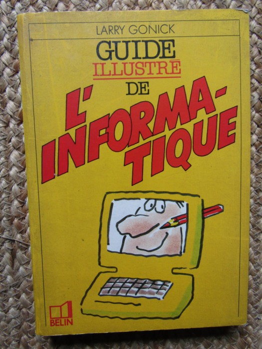 GUIDE ILLUSTRE INFORMATIQUE - Larry Gonick