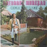 Disc vinil, LP. CODRULE, FRATE CU MINE-GHEORGHE MURESAN-239240