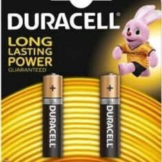 Baterii alcaline Duracell Basic AAA 2 buc
