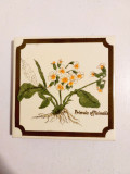 Placuta ceramica vintage suport pahar cu flori de camp Primula Officinalis, 11cm