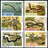 Mozambic 1982 - Reptile 6v.neuzat,perfecta stare(z)