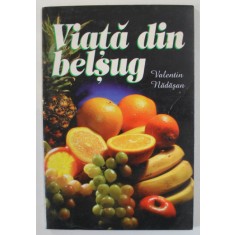 VIATA DIN BELSUG de VALENTIN NADASAN , 1996