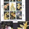 Sao Tome 1995 flori orhidee MI 1595-1605 MNH