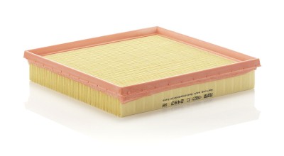 MANN-FILTER C 2493 Filtru aer foto