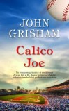 Cumpara ieftin Calico Joe/John Grisham, Rao