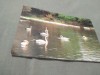CARTE POSTALA --FELICITARE NECIRCULATA