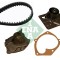 INA 530 0442 30 Set pompa apa + curea dintata