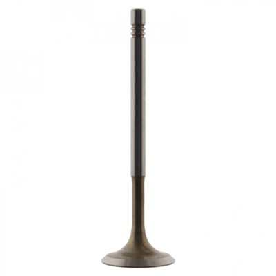 Febi Bilstein Supapa admisie foto