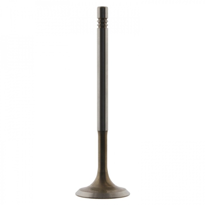 Febi Bilstein Supapa admisie