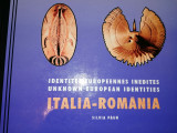 Silvia Paun - Identitati Europene Inedite Romania- Italia (semne traditionale)