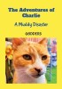 The Adventures of Charlie: A Muddy Disaster