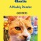 The Adventures of Charlie: A Muddy Disaster