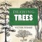 Drawing Trees