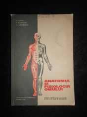 N. Santa, E. Sanielevici - Anatomia si fiziologia omului. Manual clasa a XI-a foto