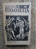 GIOVANNI BOCCACCIO - FIAMMETTA