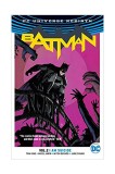 Batman Vol. 2 | Tom King