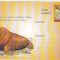 bnk cp Gruparea de Filatelie polara 1968-2003 - necirculata - marca fixa