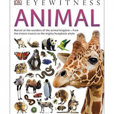 Animal (Eyewitness) - Paperback - Dorling Kindersley (DK) - DK Publishing (Dorling Kindersley)