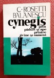 Cynegis prin paduri, campii si ape, printre jivine si oameni - Editia 1994